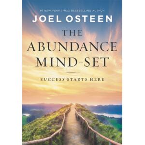 Time Warner Trade Publishing The Abundance Mind-Set : Success Starts Here