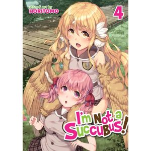Seven Seas Entertainment, LLC I'M Not A Succubus! Vol. 4