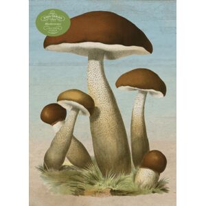 Workman Publishing John Derian Paper Goods: Mushrooms 1,000-Piece Puzzle