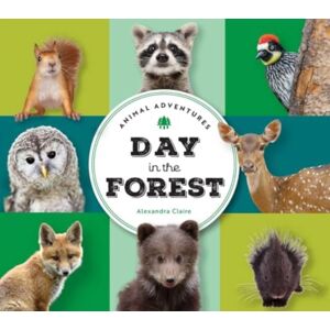 The Collective Book Studio Animal Adventures: Day In The Forest