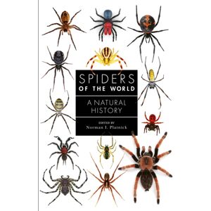 Quarto Publishing PLC Spiders Of The World : A Natural History