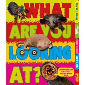 Hachette Children's Group What Are You Looking At? : Creatures You'Ve Never Seen!