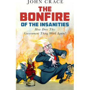 Guardian Faber Publishing The Bonfire Of The Insanities : How Does This Government Thing Work Again?