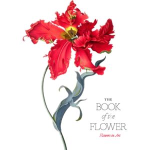 Orion Publishing Co The Book Of The Flower : Flowers In Art