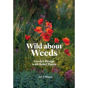 Orion Publishing Co Wild About Weeds : Garden Design With Rebel Plants