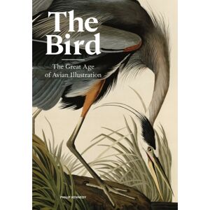 Orion Publishing Co The Bird : The Great Age Of Avian Illustration