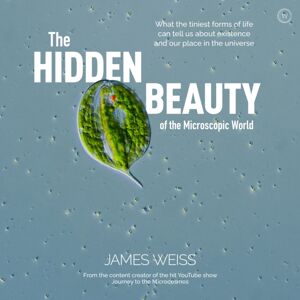 Watkins Media Limited The Hidden Beauty Of The Microscopic World : What The Tiniest Forms Of Life Can Tell Us About Existence And Our Place In The Universe