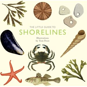 Quadrille Publishing Ltd The Little Guide To Shorelines