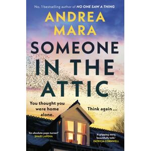 Transworld Publishers Ltd Someone In The Attic