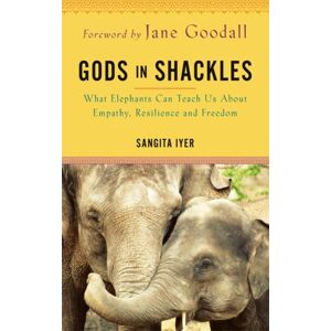 Hay House UK Ltd Gods In Shackles : What Elephants Can Teach Us About Empathy, Resilience And Freedom