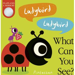 Little Tiger Press Group Ladybird! Ladybird! What Can You See?