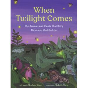 Chronicle Books When Twilight Comes : The Animals And Plants That Bring Dawn And Dusk To Life