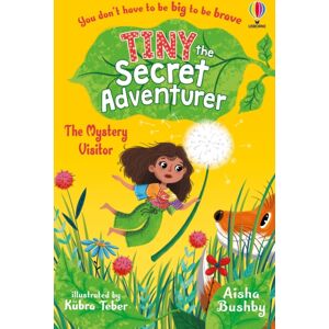 Usborne Publishing Ltd Tiny The Secret Adventurer: The Mystery Visitor