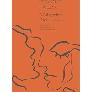 Seagull Books London Ltd A Calligraphy Of Days : Selected Poems