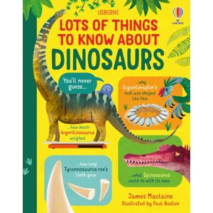 Usborne Publishing Ltd Lots Of Things To Know About Dinosaurs