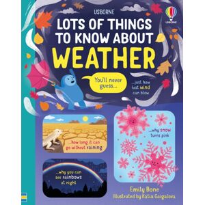 Usborne Publishing Ltd Lots Of Things To Know About Weather