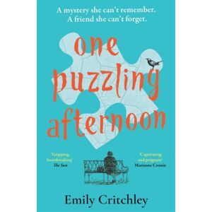 Bonnier Books Ltd One Puzzling Afternoon : A Heartbreaking, Captivating Mystery For Fans Of The List Of Suspicious Things