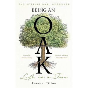 Bonnier Books Ltd Being An Oak : Life As A Tree