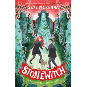Hachette Children's Group Hedgewitch: Stonewitch : Book 4: The Enchanting Series Brimming With Mystery And Magic