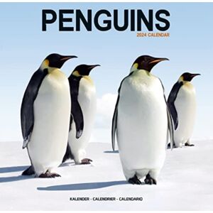 Avonside Publishing Ltd Penguins Calendar 2024 Square Animal Wall Calendar - 16 Month