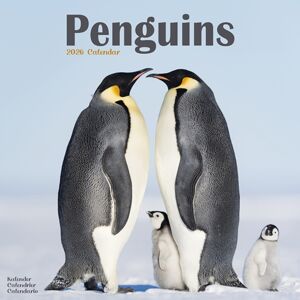 Avonside Publishing Ltd Penguins Calendar 2026 Square Animal Wall Calendar - 16 Month