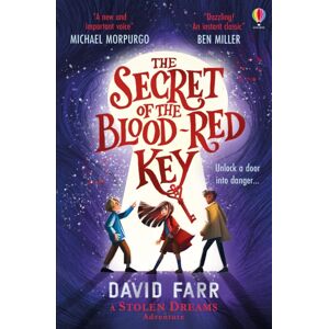 Usborne Publishing Ltd The Book Of Stolen Dreams: The Secret Key