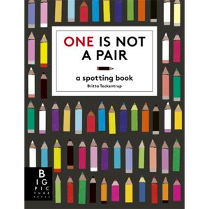 Bonnier Books Ltd One Is Not A Pair : A Spotting Book
