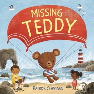 Bonnier Books Ltd Missing Teddy
