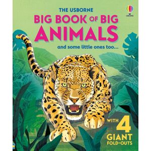 Usborne Publishing Ltd Big Book Of Big Animals