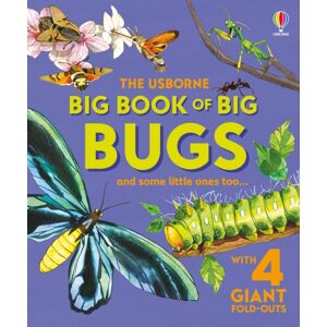 Usborne Publishing Ltd Big Book Of Big Bugs