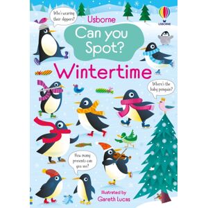 Usborne Publishing Ltd Can You Spot? Wintertime