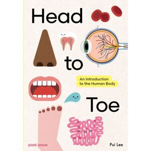 Post Wave Publishing UK Ltd Head To Toe : An Introduction To The Human Body