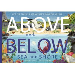 Little Tiger Press Group Above And Below: Sea And Shore : Lift The Flaps To See Nature'S Wonders Unfold