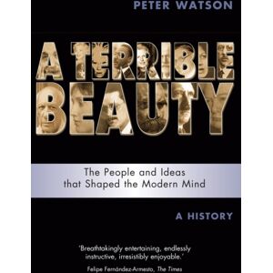 Orion Publishing Co Terrible Beauty: A Cultural History Of The Twentieth Century : The People And Ideas That Shaped The Modern Mind: A History