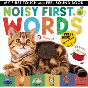 Little Tiger Press Group Noisy First Words : My First Touch And Feel Sound Book
