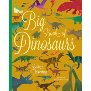 Boxer Books Limited Big Book Of Dinosaurs