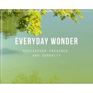 The School of Life Press Everyday Wonder : Rediscover Presence And Serenity