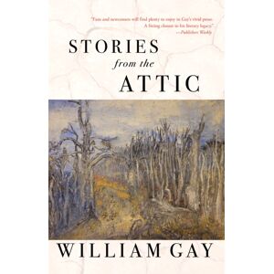 Dzanc Books Stories From The Attic