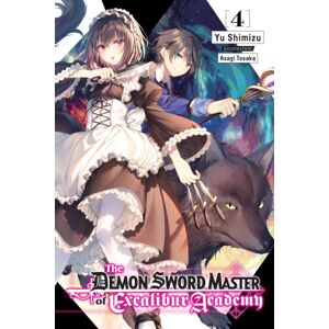 Little, Brown & Company The Demon Sword Master Of Excalibur Academy, Vol. 4 (Light Novel)