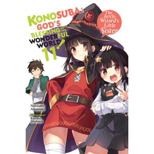 Little, Brown & Company Konosuba: God'S Blessing On This Wonderful World!, Vol. 11 (Light Novel)