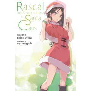 Little, Brown & Company Rascal Does Not Dream Of Santa Claus (Light Novel)