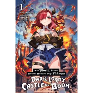 Little, Brown & Company The World Bows Down Before My Flames, Vol. 1 (Novel)