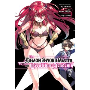 Little, Brown & Company The Demon Sword Master Of Excalibur Academy, Vol. 7 (Manga)