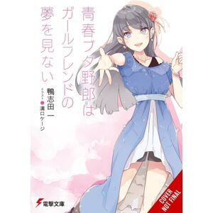 Little, Brown & Company Rascal Does Not Dream Of His Girlfriend (Light Novel)