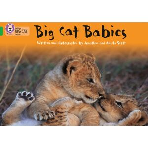 HarperCollins Publishers Big Cat Babies : Band 05/green HarperCollins Publishers Big Cat Babies : Band 05/green
