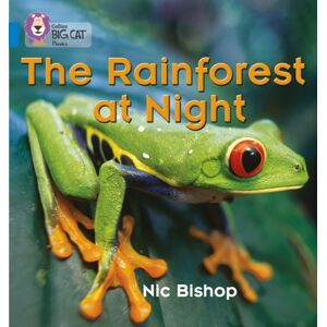 HarperCollins Publishers The Rainforest At Night : Band 04/blue HarperCollins Publishers The Rainforest At Night : Band 04/blue