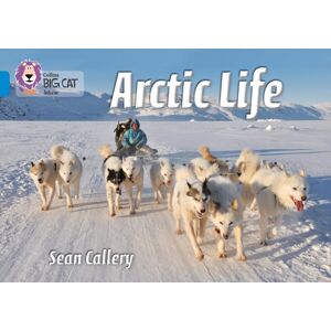 HarperCollins Publishers Arctic Life : Band 04/blue HarperCollins Publishers Arctic Life : Band 04/blue