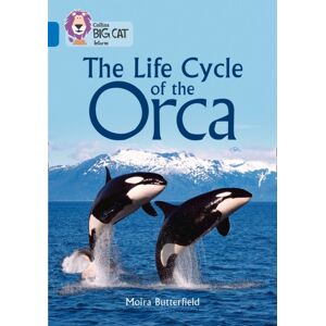 HarperCollins Publishers The Life Cycle Of The Orca : Band 16/sapphire HarperCollins Publishers The Life Cycle Of The Orca : Band 16/sapphire