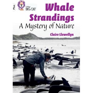 HarperCollins Publishers Whale Strandings: A Mystery Of Nature : Band 10+/white Plus HarperCollins Publishers Whale Strandings: A Mystery Of Nature : Band 10+/white Plus
