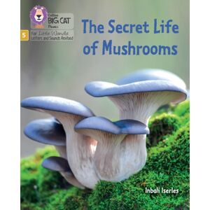 HarperCollins Publishers The Secret Life Of Mushrooms : Phase 5 Set 4 Stretch And Challenge HarperCollins Publishers The Secret Life Of Mushrooms : Phase 5 Set 4 Stretch And Challenge